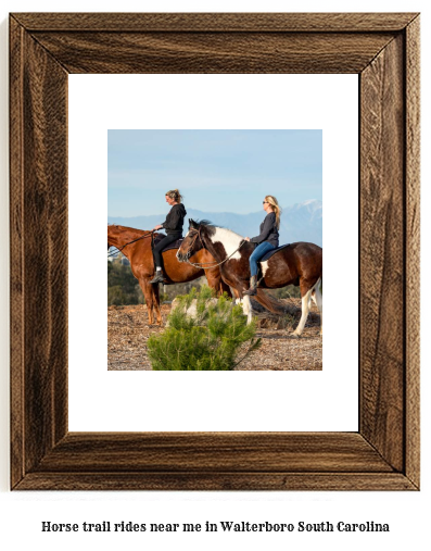 horse trail rides near me in Walterboro, South Carolina